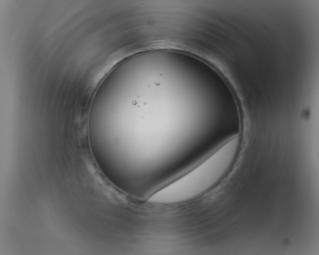 X0000113361097200909221153