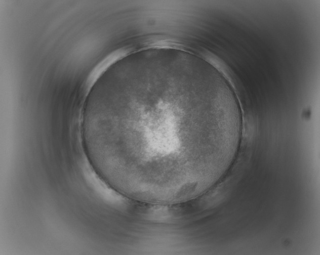 X0000113361098200909221153