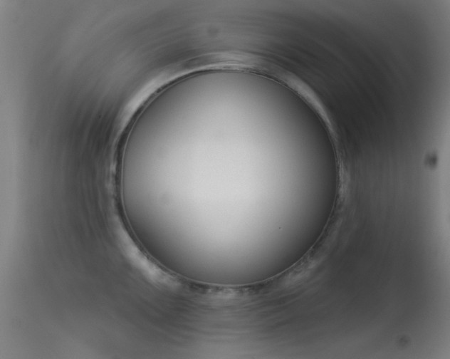 X0000113361099200909221153