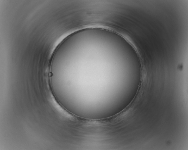 X0000113361100200909221153