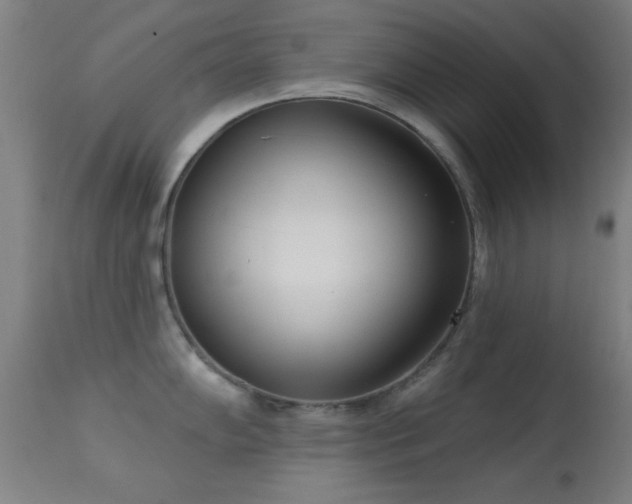 X0000113361102200909221153