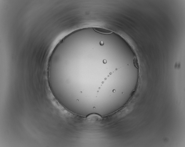 X0000113361104200909221153