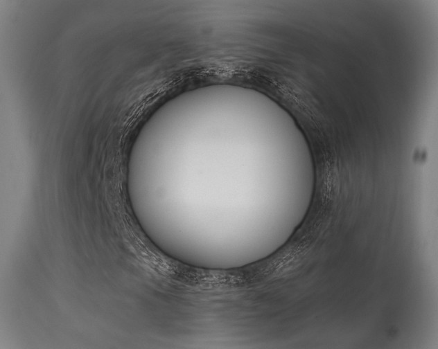 X0000113361105200909221152