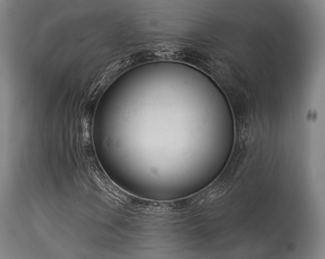 X0000113361106200909221152