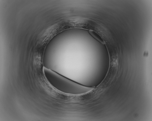 X0000113361108200909221152