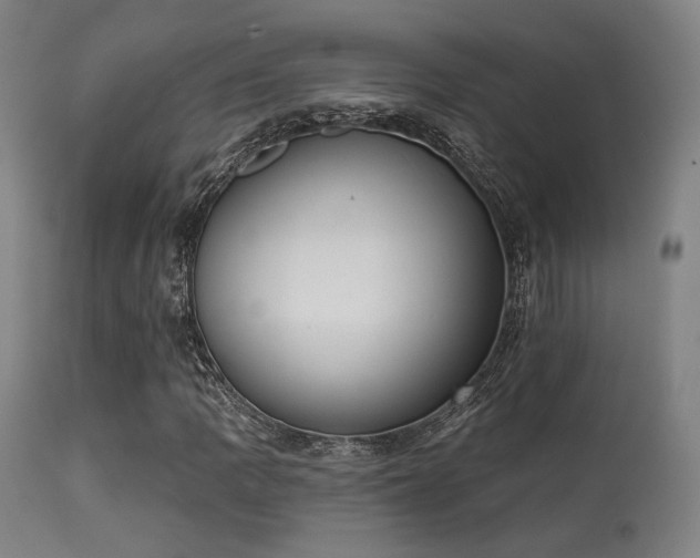 X0000113361109200909221152