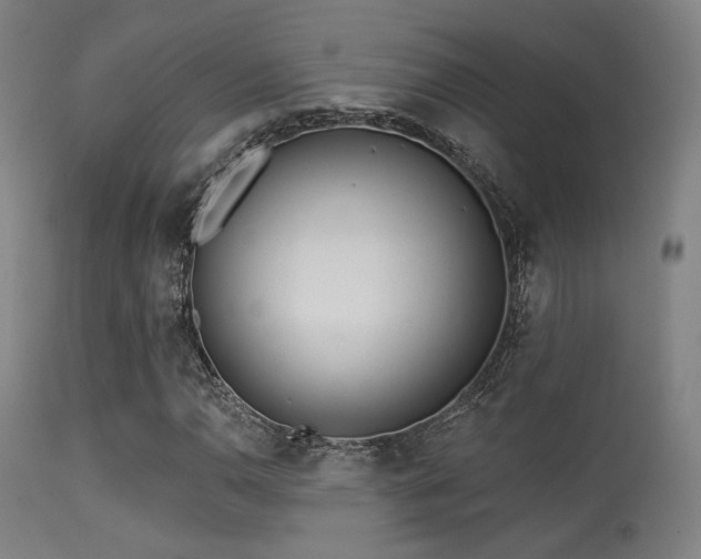 X0000113361110200909221152