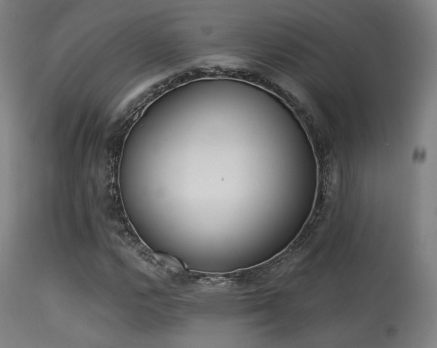 X0000113361112200909221152