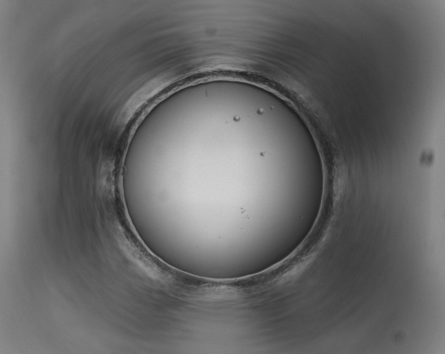 X0000113361113200909221152