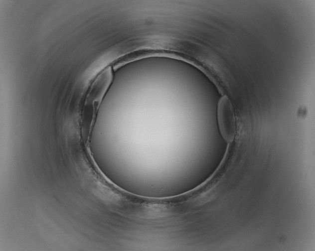 X0000113361114200909221152