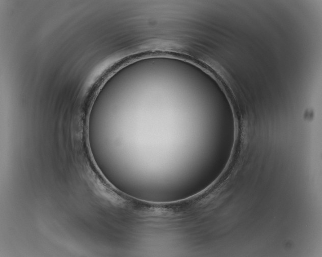 X0000113361115200909221152