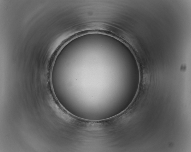 X0000113361116200909221152