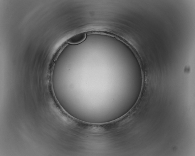X0000113361119200909221152