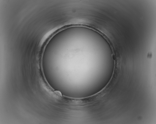 X0000113361120200909221152