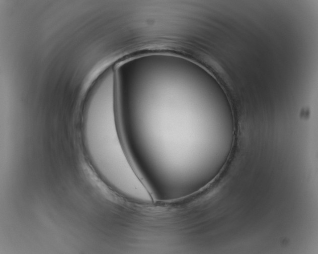 X0000113361122200909221153