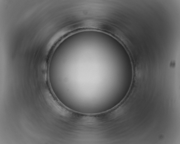 X0000113361123200909221153