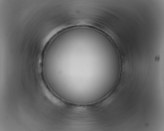 X0000113361126200909221153