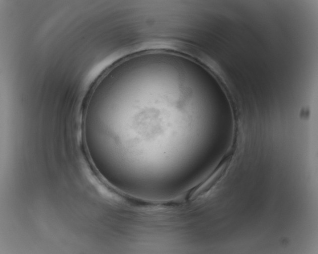 X0000113361127200909221153