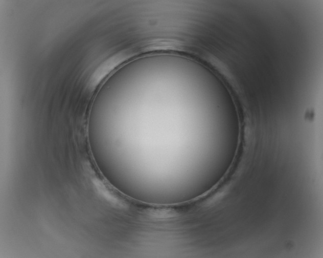 X0000113361129200909221153