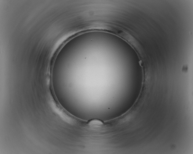 X0000113361132200909221153