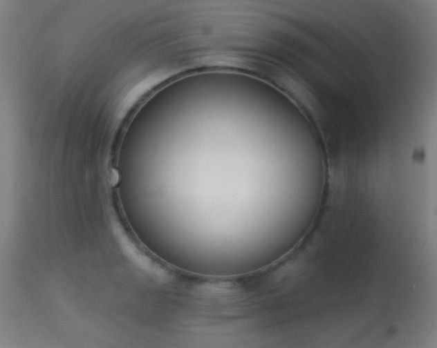 X0000113361133200909221153