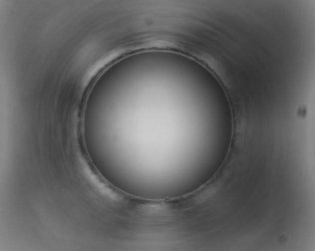 X0000113361134200909221153