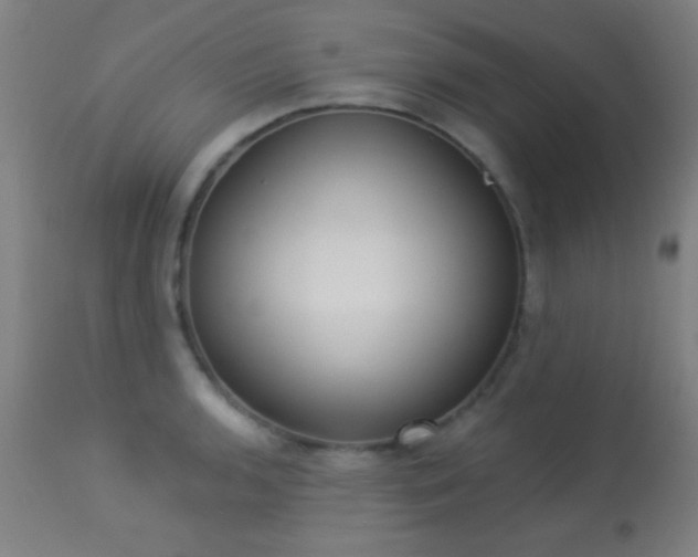 X0000113361136200909221153