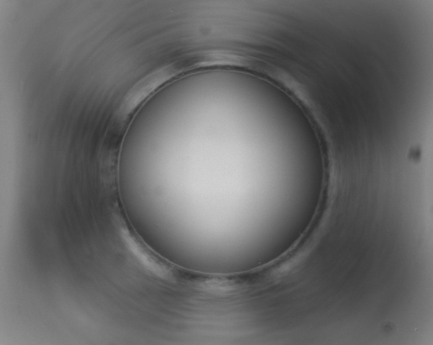 X0000113361137200909221153