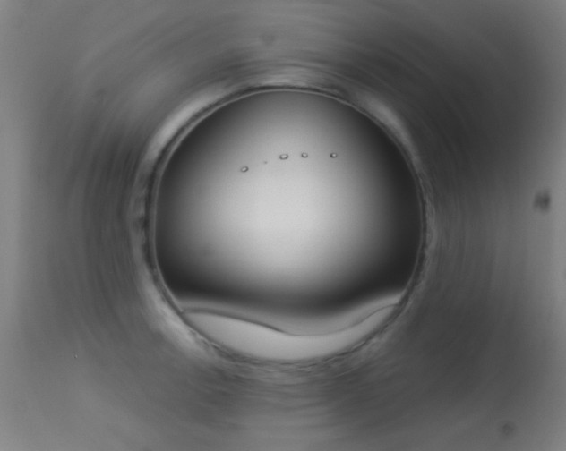 X0000113361138200909221153