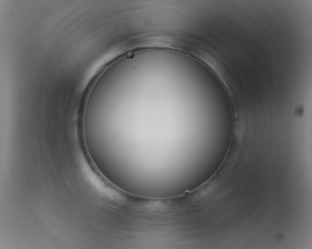 X0000113361139200909221153