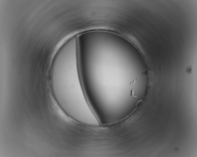 X0000113361140200909221153