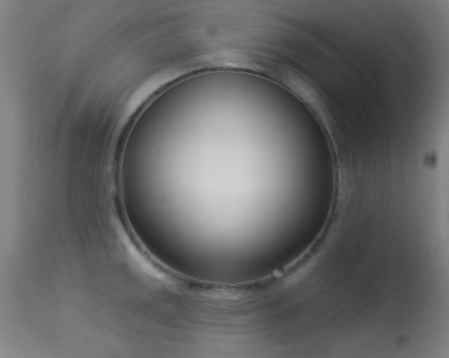 X0000113361141200909221153