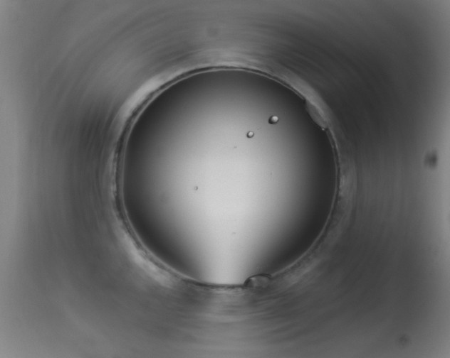 X0000113361144200909221153