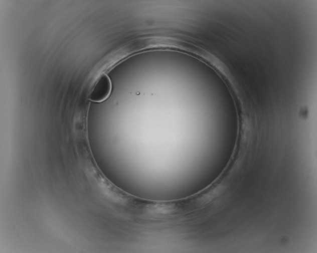 X0000113361145200909221153