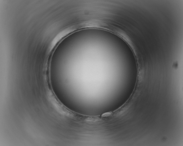 X0000113361146200909221153