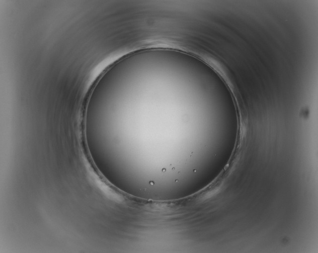 X0000113361149200909221153