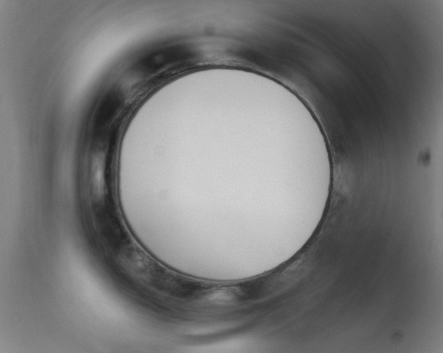 X0000113361150200909221153