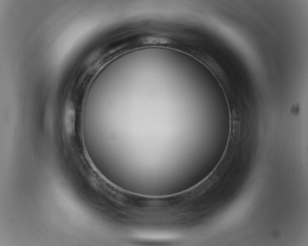 X0000113361151200909221153