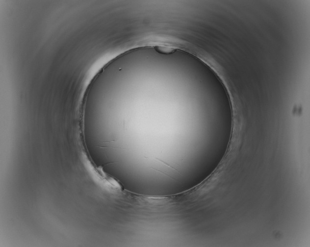 X0000113361152200909221153