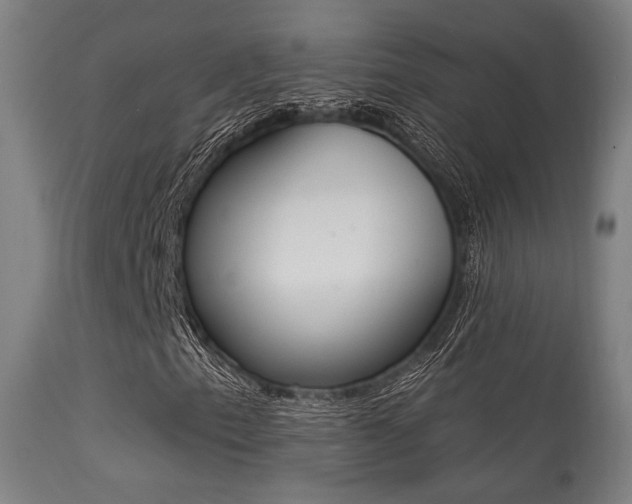 X0000113361153200909221152