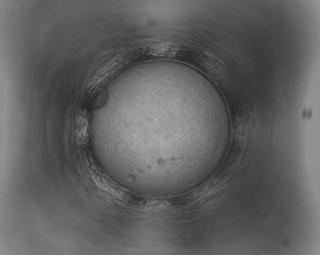 X0000113361154200909221152