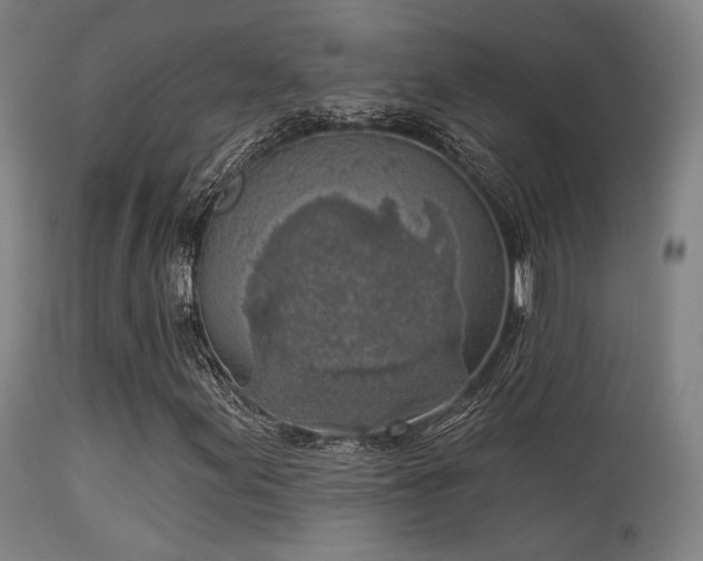 X0000113361155200909221152