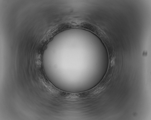 X0000113361156200909221152
