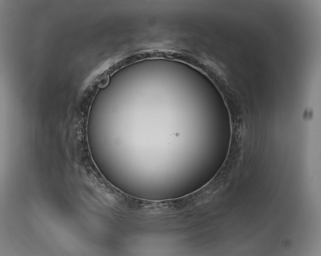 X0000113361159200909221152