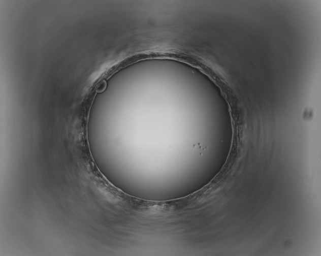 X0000113361160200909221152