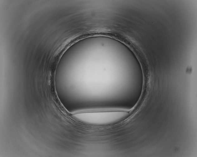X0000113361161200909221152