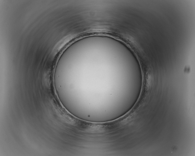 X0000113361162200909221152