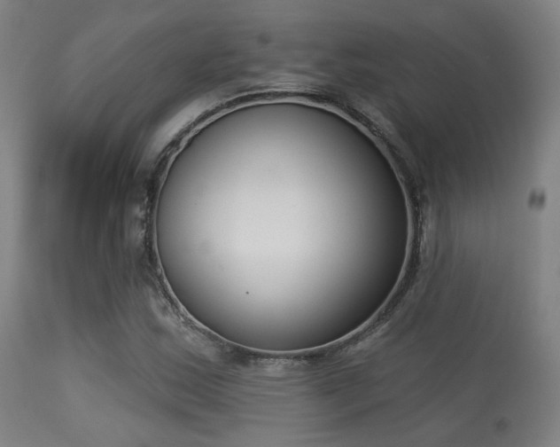 X0000113361163200909221152