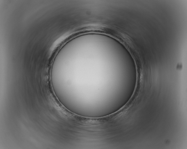 X0000113361164200909221152