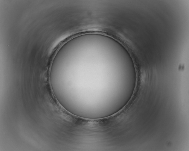 X0000113361166200909221152